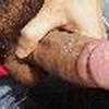 foto do perfil gbrguy